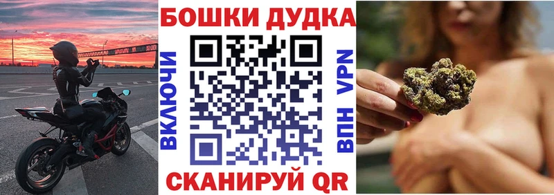 Каннабис план  ОМГ ОМГ сайт  Железногорск-Илимский 